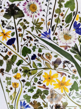 Indlæs billede til gallerivisning En Græsplæne, pressede blomster 21x30 cm (A4)