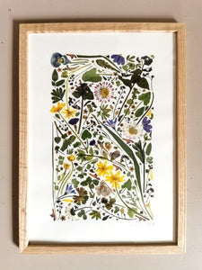 En Græsplæne, pressede blomster 21x30 cm (A4)